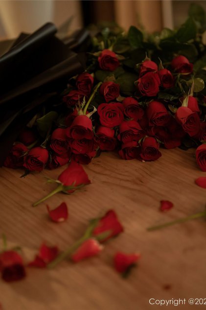 免费AV片在线观看蜜芽TV